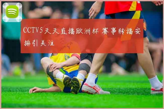 CCTV5天天直播欧洲杯 赛事转播安排引关注