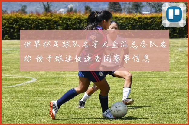 世界杯足球队名字大全汇总各队名称 便于球迷快速查阅赛事信息