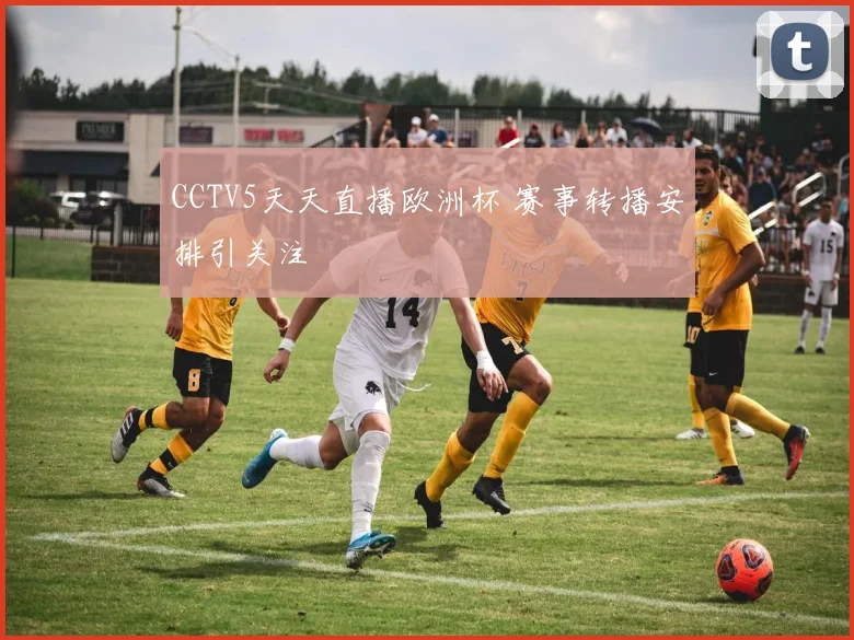 CCTV5天天直播欧洲杯 赛事转播安排引关注